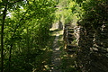 DSC01836 - Bernhard Saalfeld