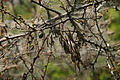DSC01841 - Bernhard Saalfeld