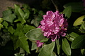 DSC01843 - Bernhard Saalfeld