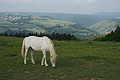 DSC01845 - Bernhard Saalfeld