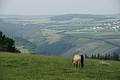DSC01846 - Bernhard Saalfeld