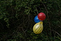 DSC01847 - Bernhard Saalfeld