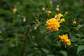 DSC01851 - Bernhard Saalfeld