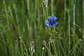 DSC01857 - Bernhard Saalfeld