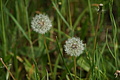 DSC01861 - Bernhard Saalfeld