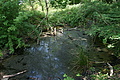 DSC01881 - Bernhard Saalfeld