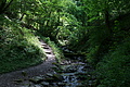 DSC01883 - Bernhard Saalfeld