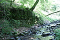 DSC01884 - Bernhard Saalfeld