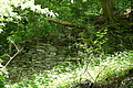 DSC01897 - Bernhard Saalfeld
