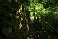 DSC01898 - Bernhard Saalfeld