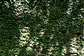 DSC01899 - Bernhard Saalfeld