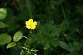 DSC01901 - Bernhard Saalfeld