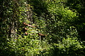 DSC01902 - Bernhard Saalfeld