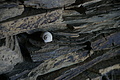 DSC01904 - Bernhard Saalfeld