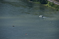 DSC01907 - Bernhard Saalfeld
