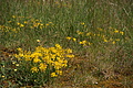 DSC01910 - Bernhard Saalfeld