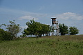 DSC01911 - Bernhard Saalfeld