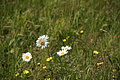 DSC01913 - Bernhard Saalfeld
