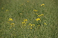 DSC01914 - Bernhard Saalfeld