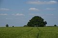 DSC01915 - Bernhard Saalfeld