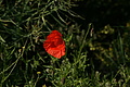 DSC01916 - Bernhard Saalfeld