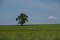 DSC01920 - Bernhard Saalfeld