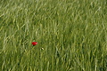 DSC01922 - Bernhard Saalfeld