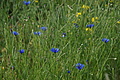 DSC01924 - Bernhard Saalfeld