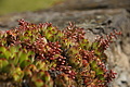DSC01948 - Bernhard Saalfeld