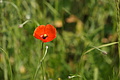 DSC01950 - Bernhard Saalfeld
