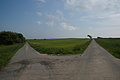 DSC01951 - Bernhard Saalfeld