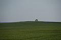 DSC01952 - Bernhard Saalfeld