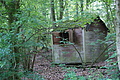 DSC01953 - Bernhard Saalfeld