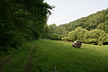 DSC01954 - Bernhard Saalfeld