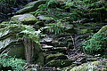 DSC01962 - Bernhard Saalfeld