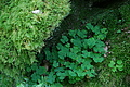 DSC01963 - Bernhard Saalfeld