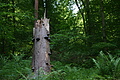 DSC01965 - Bernhard Saalfeld