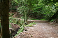 DSC01967 - Bernhard Saalfeld
