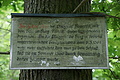 DSC01974 - Bernhard Saalfeld