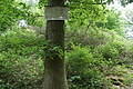 DSC01975 - Bernhard Saalfeld