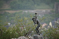 DSC01980 - Bernhard Saalfeld
