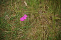 DSC01988 - Bernhard Saalfeld