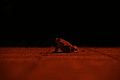 DSC02027 - Bernhard Saalfeld