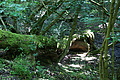 DSC02031 - Bernhard Saalfeld