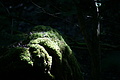 DSC02032 - Bernhard Saalfeld