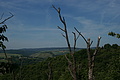 DSC02033 - Bernhard Saalfeld