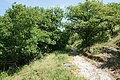 DSC02039 - Bernhard Saalfeld