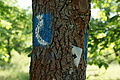 DSC02040 - Bernhard Saalfeld