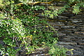 DSC02046 - Bernhard Saalfeld
