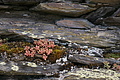 DSC02047 - Bernhard Saalfeld